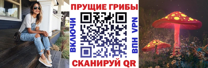Галлюциногенные грибы мицелий  Петушки 